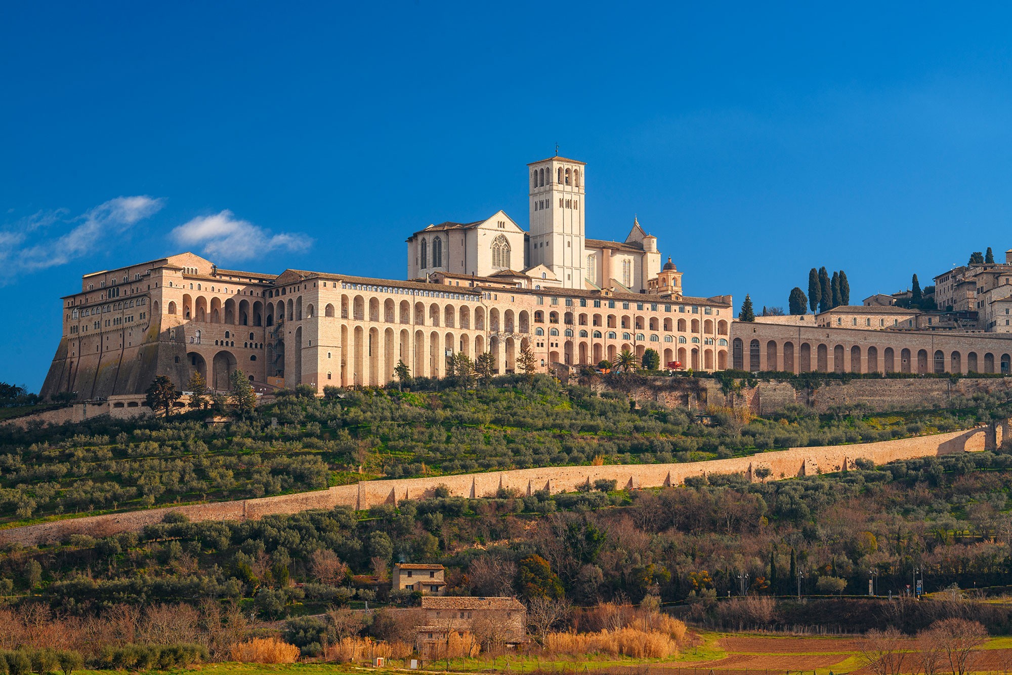 assisi-italy-town-skyline-with-the-basilica-of-sa-2023-11-27-05-10-43-utc